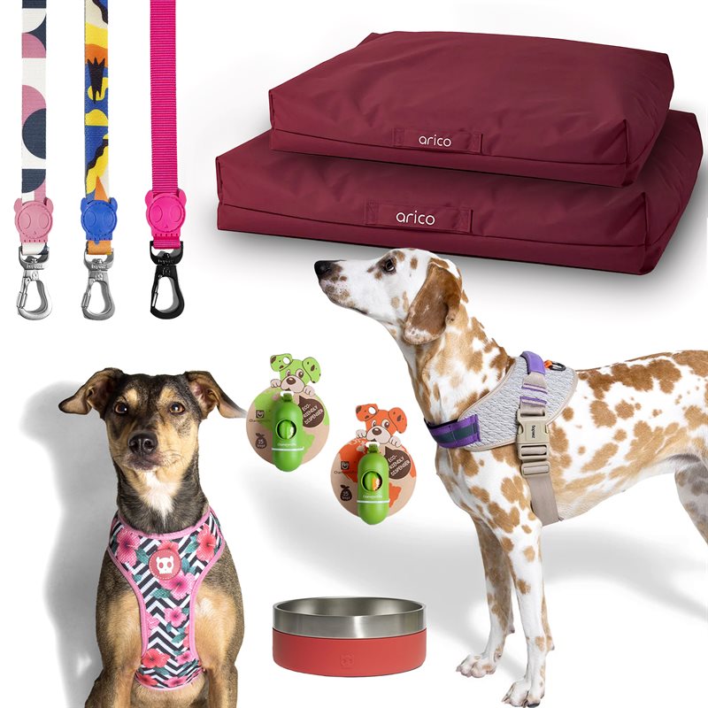 https://anima-go.ca//img/category/ACCESSOIRES_CHIEN.jpg