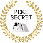 Peke Secret
