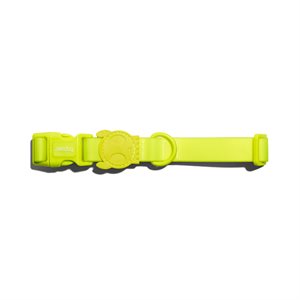 ZEE DOG - COLLIER NEOPRO LIME