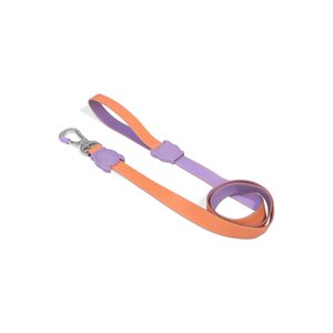 ZEE DOG - LAISSE NEOPRO IRIS