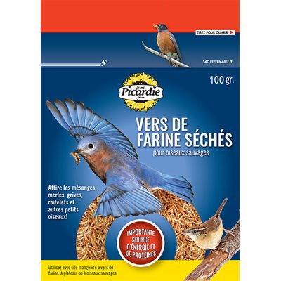 PICARDIE VERS DE FARINE 100GR