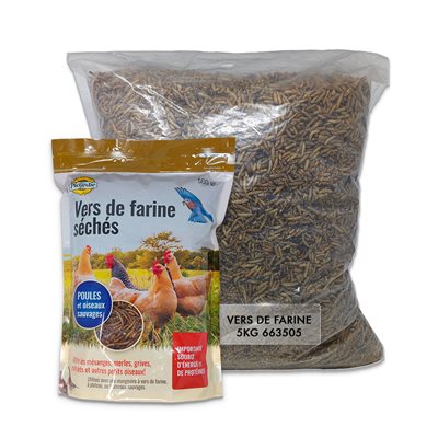 PICARDIE VERS DE FARINE 300GR